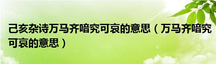 己亥杂诗万马齐喑究可哀的意思（万马齐喑究可哀的意思）