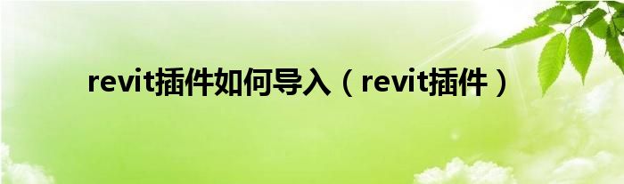 revit插件如何导入（revit插件）