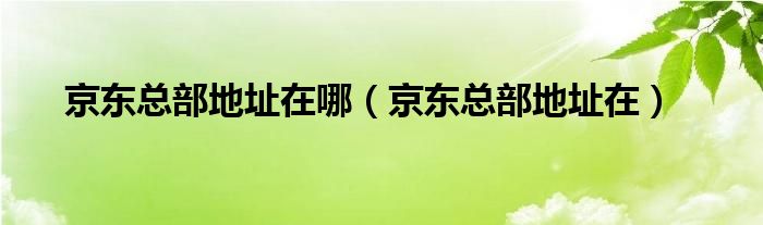 京东总部地址在哪（京东总部地址在）