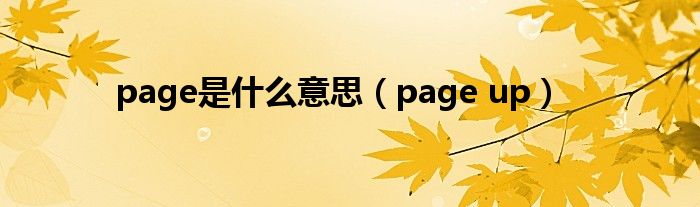 page是什么意思（page up）