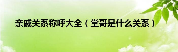 亲戚关系称呼大全（堂哥是什么关系）