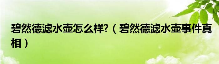 碧然德滤水壶怎么样?（碧然德滤水壶事件真相）