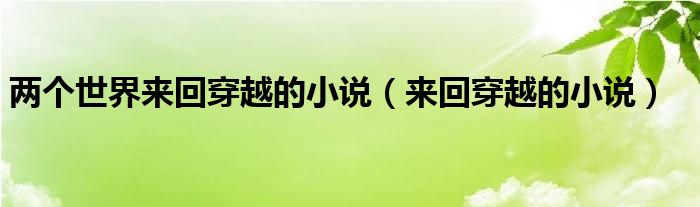 两个世界来回穿越的小说（来回穿越的小说）