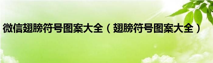 微信翅膀符号图案大全（翅膀符号图案大全）