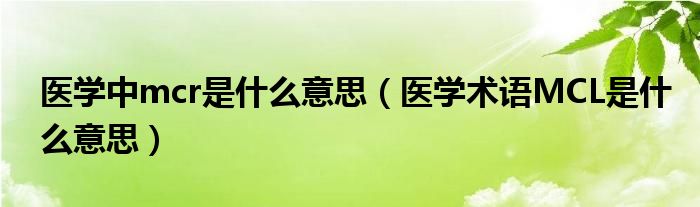 医学中mcr是什么意思（医学术语MCL是什么意思）