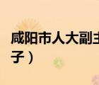 咸阳市人大副主任王靖出事了（王靖是谁的儿子）