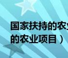 国家扶持的农业项目有哪些2020（国家扶持的农业项目）