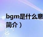 bgm是什么意思（说一说bgm是什么意思的简介）