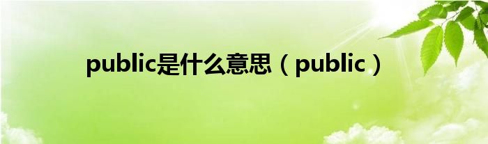 public是什么意思（public）