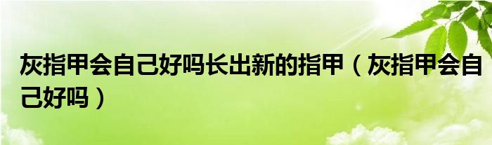 灰指甲会自己好吗长出新的指甲（灰指甲会自己好吗）