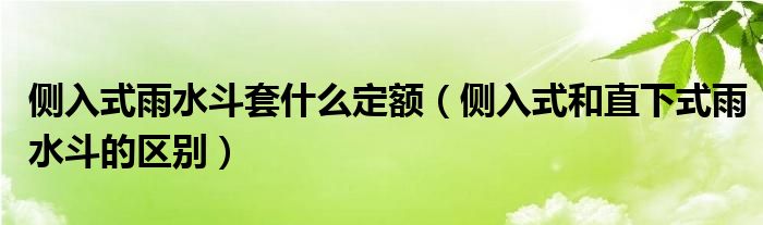 侧入式雨水斗套什么定额（侧入式和直下式雨水斗的区别）