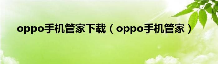 oppo手机管家下载（oppo手机管家）