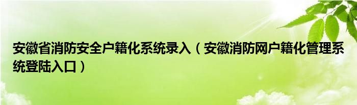 安徽省消防安全户籍化系统录入（安徽消防网户籍化管理系统登陆入口）