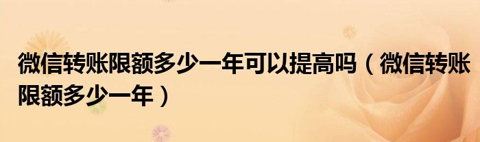 微信转账限额多少一年可以提高吗（微信转账限额多少一年）