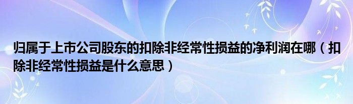 归属于上市公司股东的扣除非经常性损益的净利润在哪（扣除非经常性损益是什么意思）