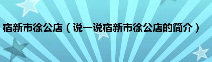 宿新市徐公店（说一说宿新市徐公店的简介）