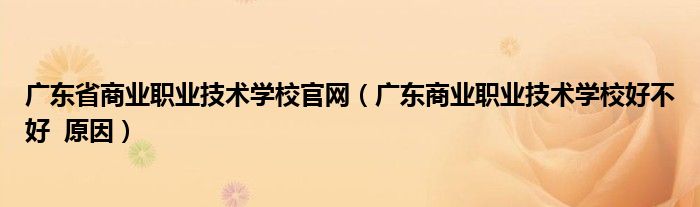 广东省商业职业技术学校官网（广东商业职业技术学校好不好  原因）