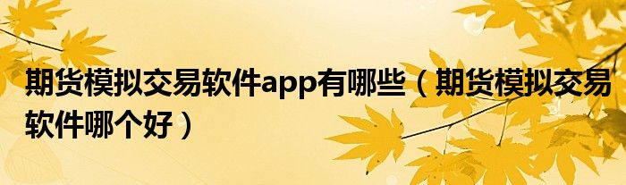 期货模拟交易软件app有哪些（期货模拟交易软件哪个好）