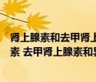 肾上腺素和去甲肾上腺素和异丙肾上腺素的异同点（肾上腺素 去甲肾上腺素和异丙肾上腺素的异同点）