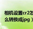 相机设置cr2怎么转换成jpg格式（相机cr2怎么转换成jpg）