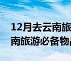 12月去云南旅游必备物品清单表（12月去云南旅游必备物品）