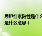 尿胆红素阳性是什么意思严重吗挂什么科（尿胆红素是阳性是什么意思）