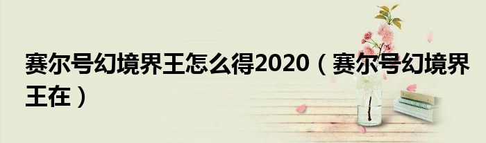 赛尔号幻境界王怎么得2020（赛尔号幻境界王在）