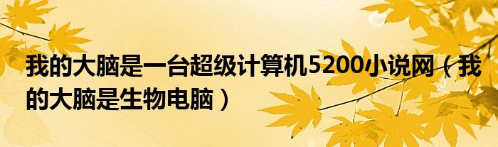 我的大脑是一台超级计算机5200小说网（我的大脑是生物电脑）