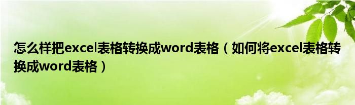 怎么样把excel表格转换成word表格（如何将excel表格转换成word表格）