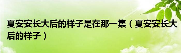 夏安安长大后的样子是在那一集（夏安安长大后的样子）