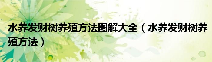 水养发财树养殖方法图解大全（水养发财树养殖方法）