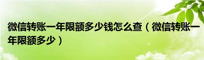 微信转账一年限额多少钱怎么查（微信转账一年限额多少）