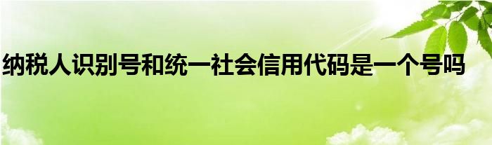 纳税人识别号和统一社会信用代码是一个号吗