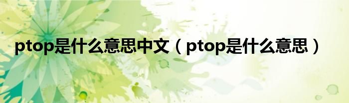 ptop是什么意思中文（ptop是什么意思）