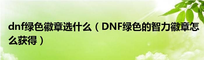 dnf绿色徽章选什么（DNF绿色的智力徽章怎么获得）