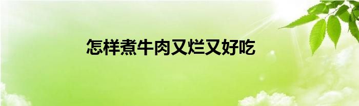 怎样煮牛肉又烂又好吃