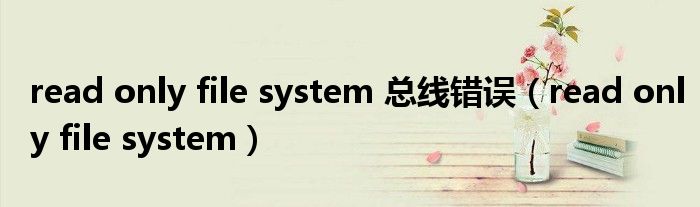 read only file system 总线错误（read only file system）