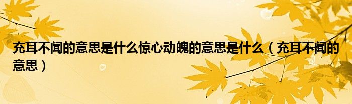 充耳不闻的意思是什么惊心动魄的意思是什么（充耳不闻的意思）