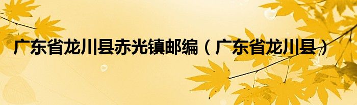 广东省龙川县赤光镇邮编（广东省龙川县）