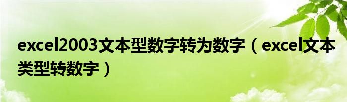 excel2003文本型数字转为数字（excel文本类型转数字）