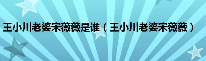 王小川老婆宋薇薇是谁（王小川老婆宋薇薇）