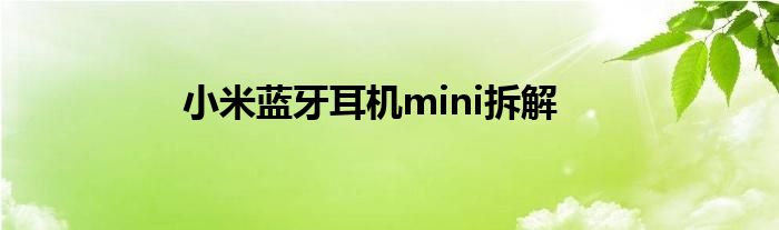 小米蓝牙耳机mini拆解