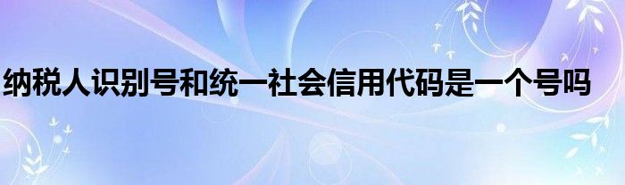 纳税人识别号和统一社会信用代码是一个号吗