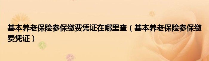 基本养老保险参保缴费凭证在哪里查（基本养老保险参保缴费凭证）