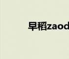 早稻zaodao百科（早稻网官网）