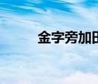 金字旁加田的拼音（金字旁加田）