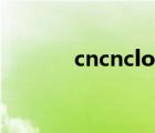 cncncloud.com（cncnbjsf）