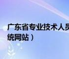 广东省专业技术人员管理平台（广东省专业技术网上申报系统网站）