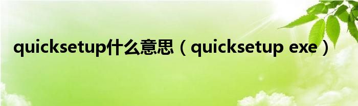 quicksetup什么意思（quicksetup exe）