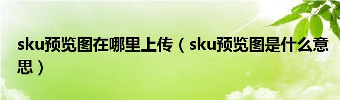 sku预览图在哪里上传（sku预览图是什么意思）